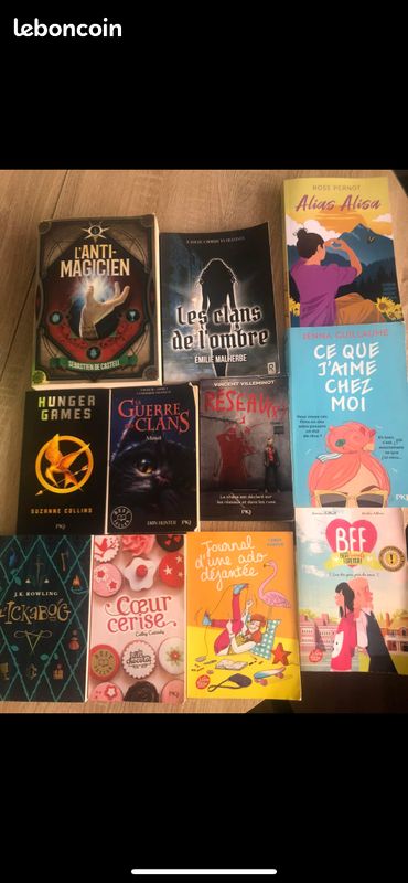11 Livre pour adolescent (image 1)