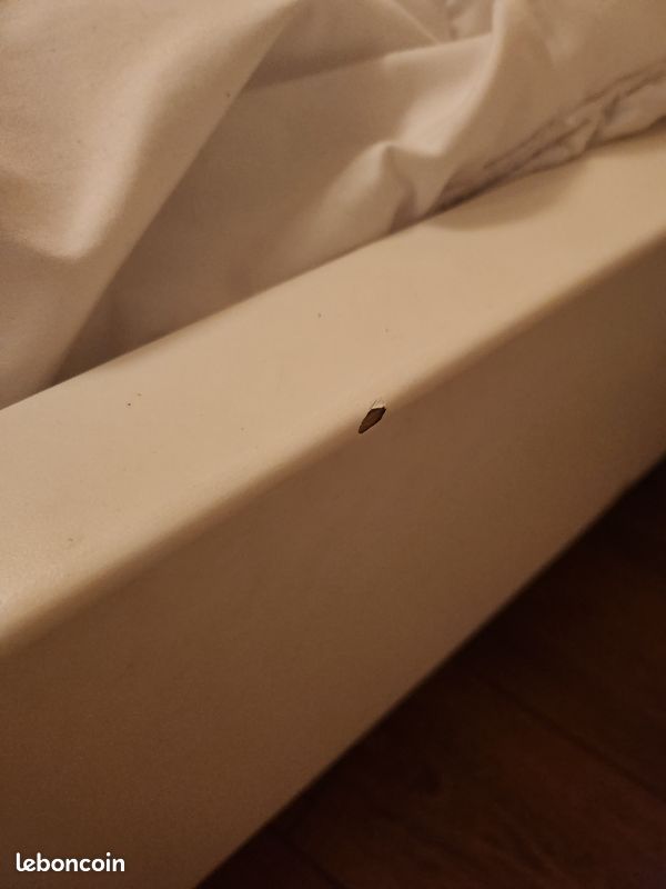 Lit evolutif avec matelas (image 5)