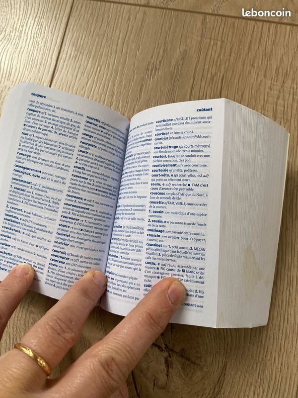 Dictionnaire mini Larousse 2023 (image 3)