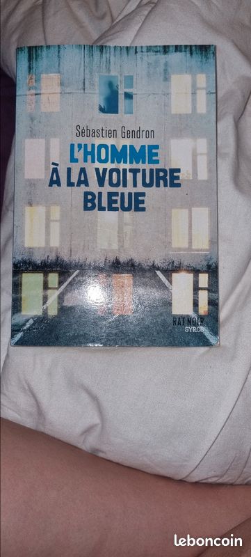 L'homme a la voiture bleue (image 1)