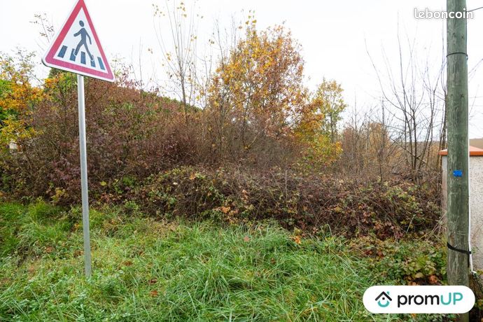 https://img.leboncoin.fr/api/v1/lbcpb1/images/27/f8/bf/27f8bf7f2d7357e2213a4ea395e6ac5452ce1fca.jpg?rule=ad-image