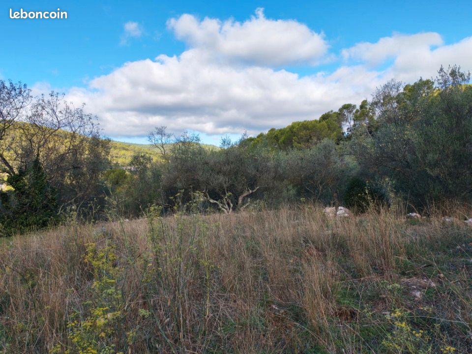 Terrain 1 005 m² Carnoules · 135 000 €