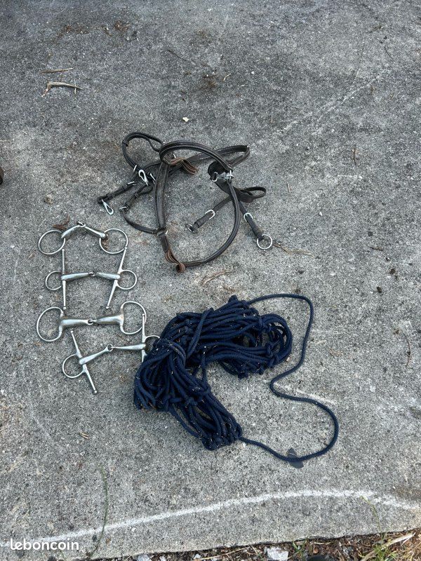 Divers matériels équipement cheval cavalier (image 2)
