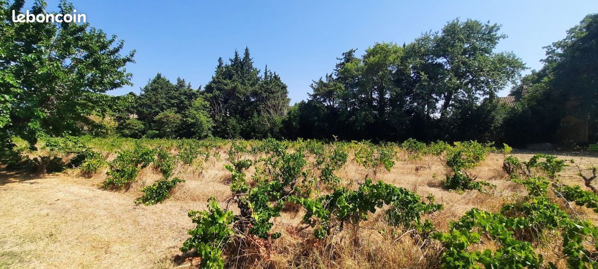 Terrain à bâtir de 591 m² à SAINTE-CECILE-LES-VIGNES (84) · à Sainte-Cécile-les-Vignes · 117 000 €