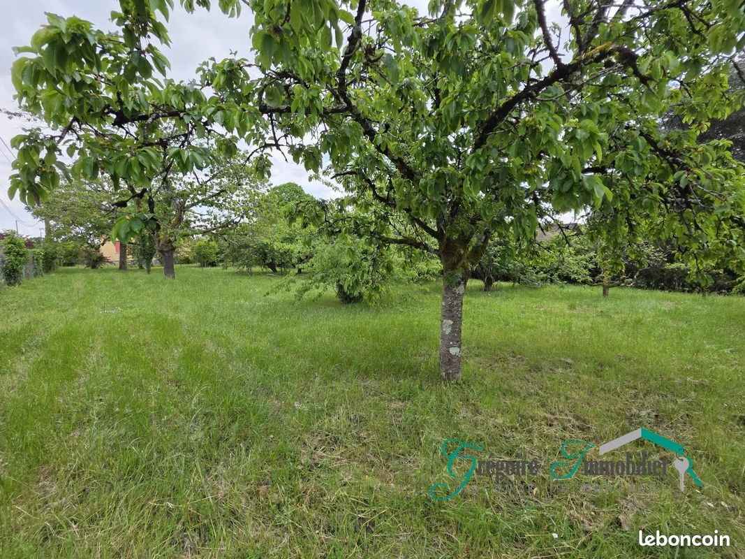 Terrain 732 m² · à Montigny-sur-Loing · 732 m² · 138 000 €