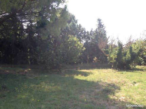 Terrain 980 m² Noves