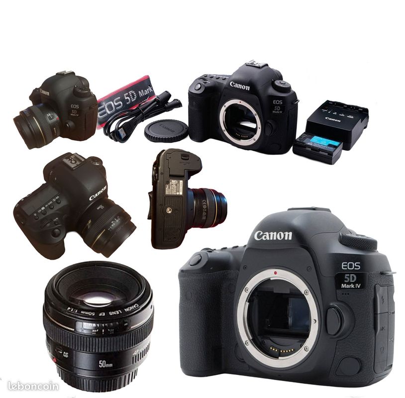 Canon EOS 5D Mark IV Objectif Canon EF 50mm USM Photo