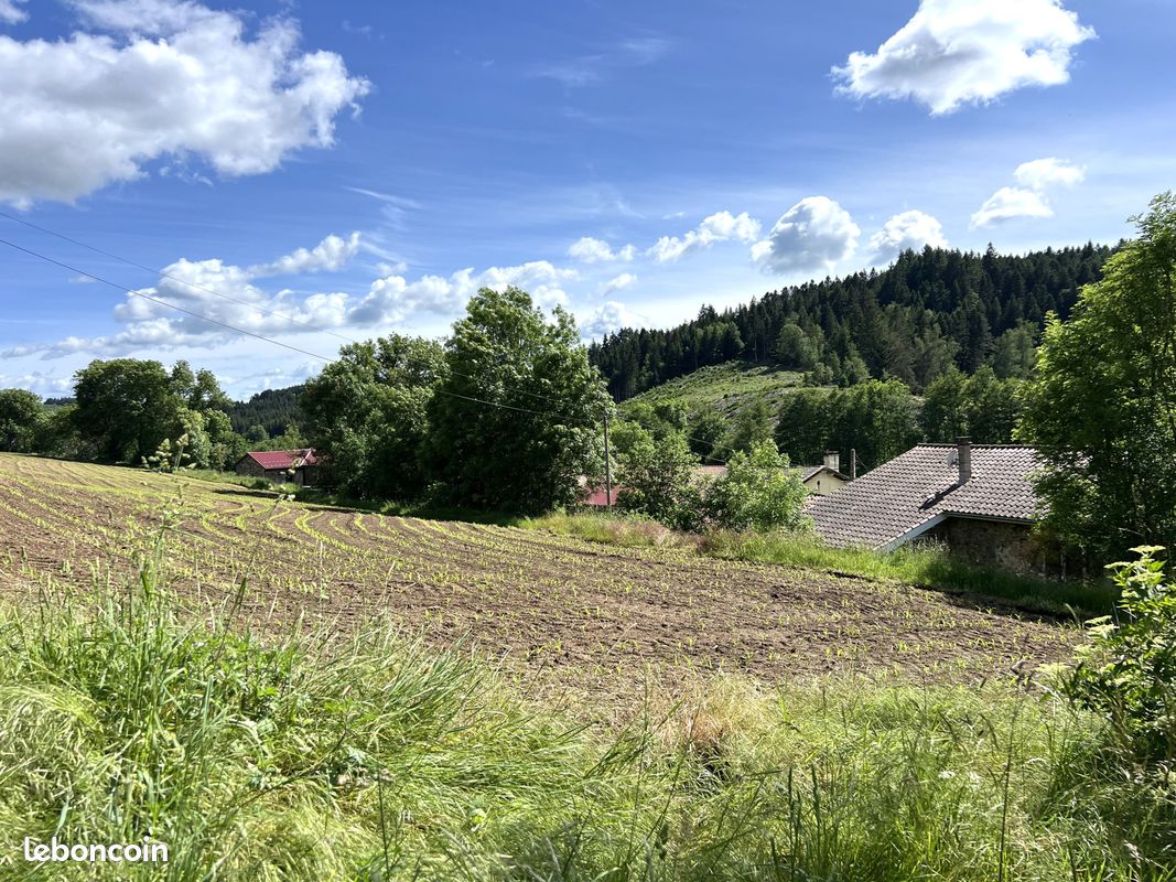 Ferme 8 pièces 281 m² (image 4)