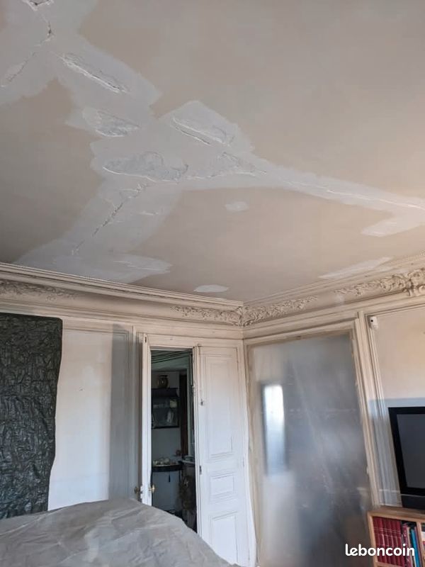 Peintre professionnel en bâtiment - Autres services