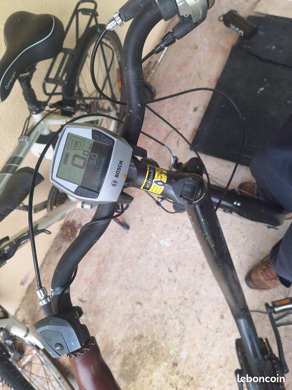 Vélo électrique Riese und Muller (image 3)