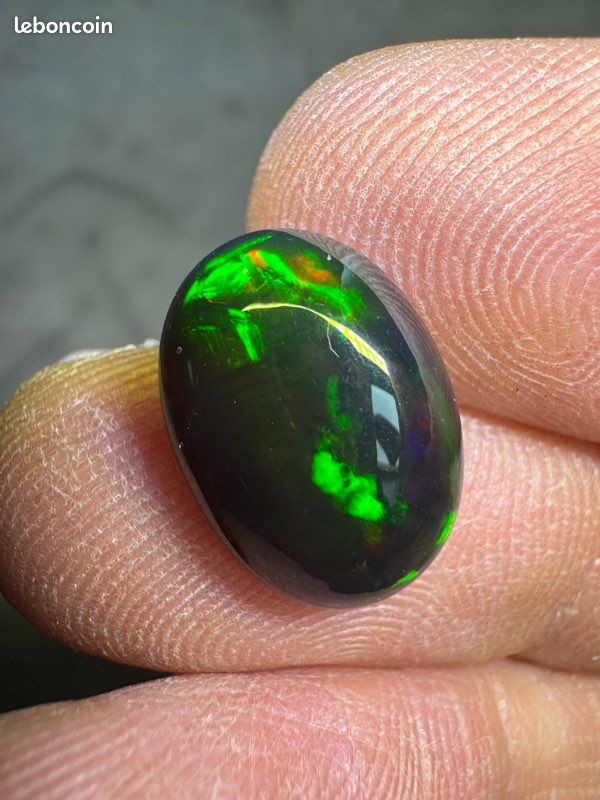 Opale Naturelle D'Éthiopie - Noire Et Multicolore - 1,71 Carats (10,5 X 8,3 Mm)