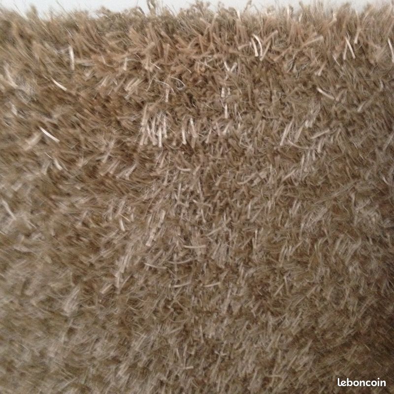 Grand tapis (image 1)