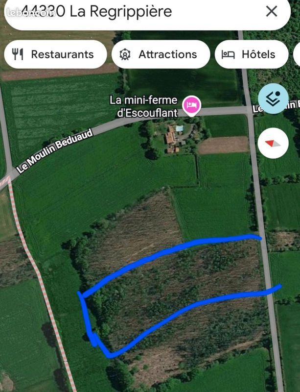 Forêts châtaigniers terrain de loisirs · à La Regrippière · 16 500 €