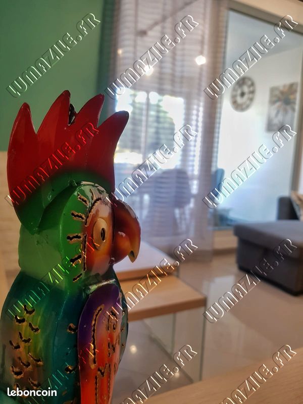 Appartement vue mer, le gosier guadeloupe (image 14)