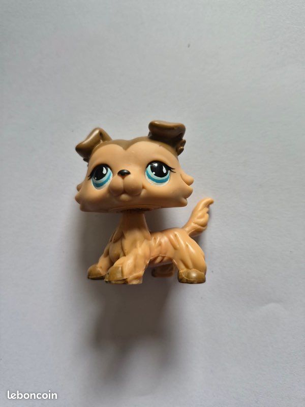 Lot 16 pet shop (image 7)