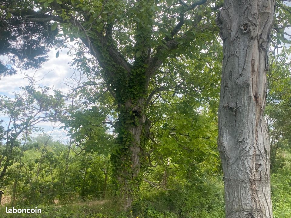 Terrain 685 m² · à Quarante · 89 900 €