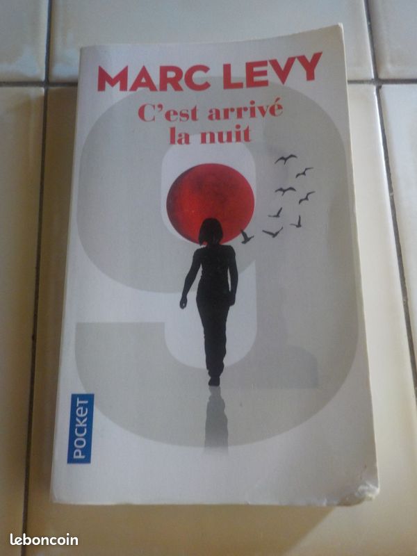 C'est arrivé la nuit (image 1)