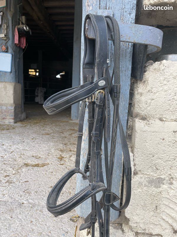 Filet Dyon taille COB (image 1)