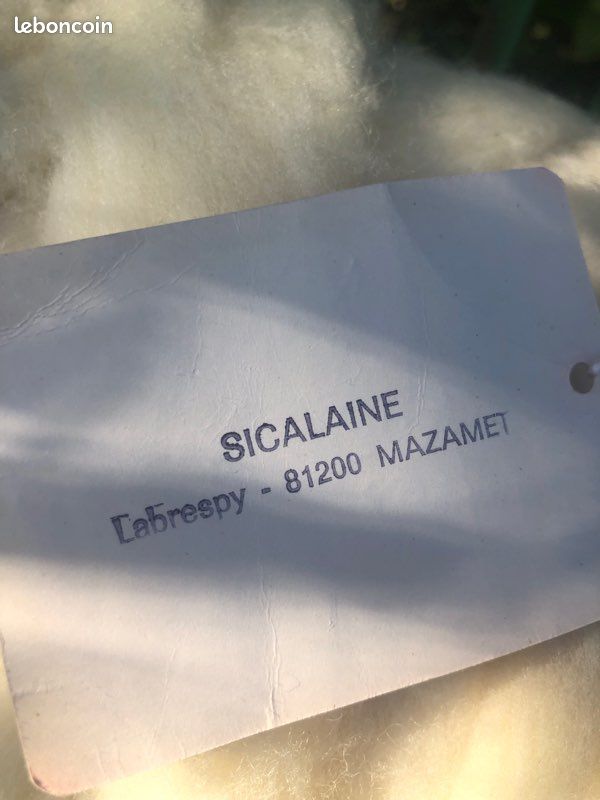 Laine cardée écrue (image 4)
