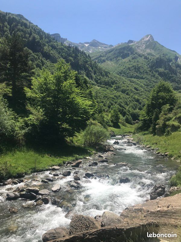 Location Appt 45m2 4-6 personnes (image 8)
