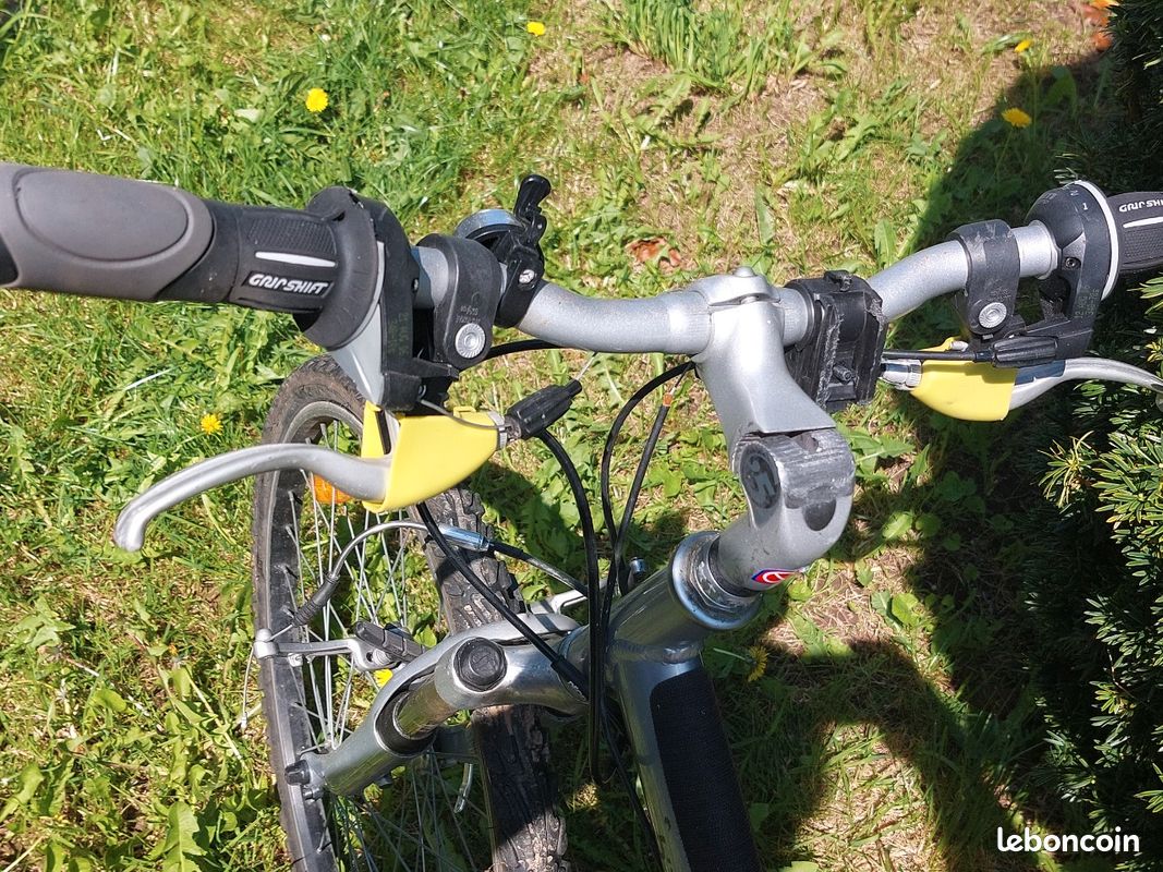 Vélo adulte (image 2)
