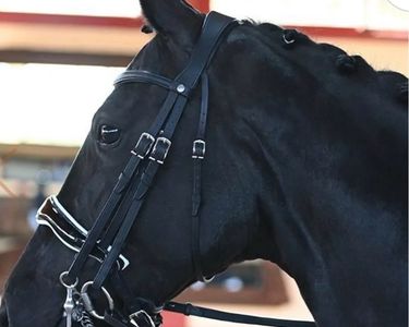 Bridon Antarès Trainning Signature - Bridon cheval - Le Paturon