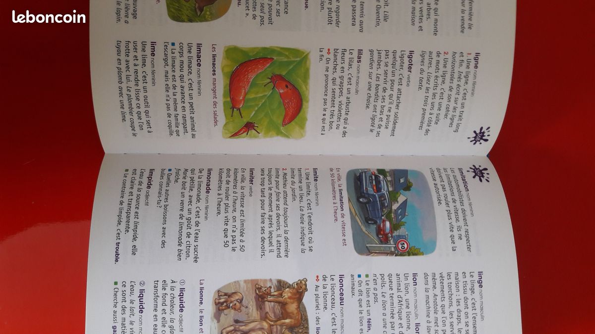 Dictionnaire junior (image 2)