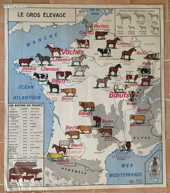 Carte géographique scolaire ancienne (image 1)