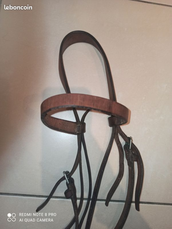 Filet complet sans mors en cuir véritable pour cheval (image 3)