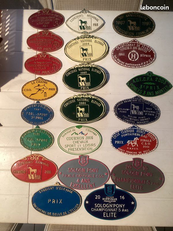 CHEVAUX PLAQUE CONCOURS HIPPIQUE LALLEYRIAT 4er Prix des