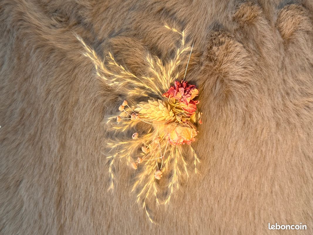 Broche (image 2)
