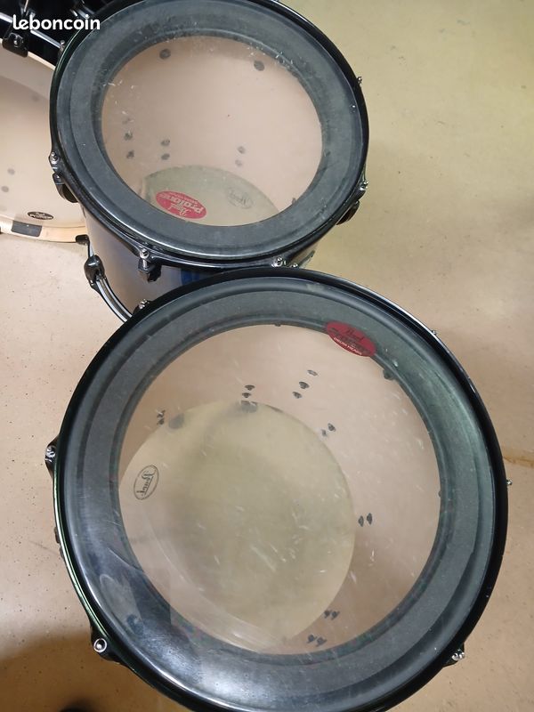 Pearl Vision Birch Shell (image 4)