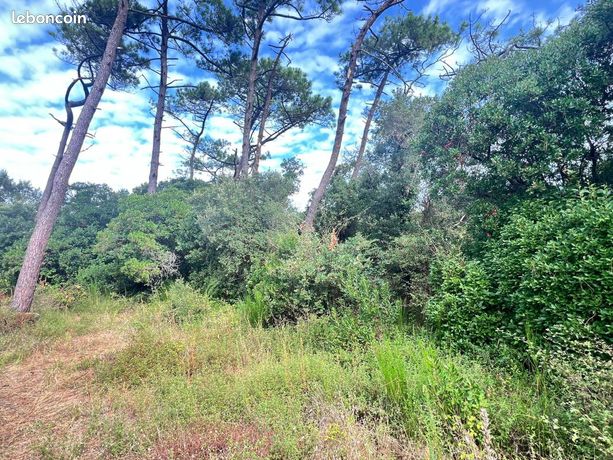 Terrain 1 702 m² Labenne