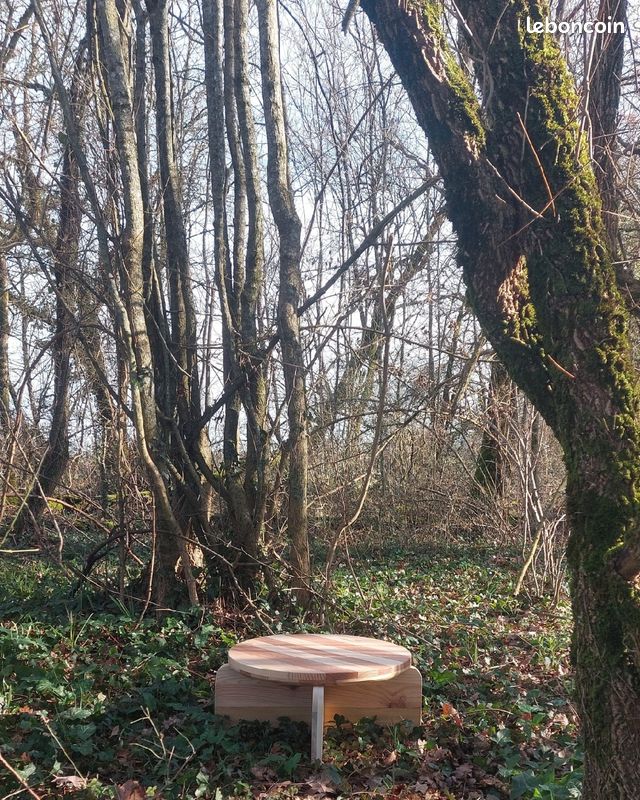 Table basse (image 5)