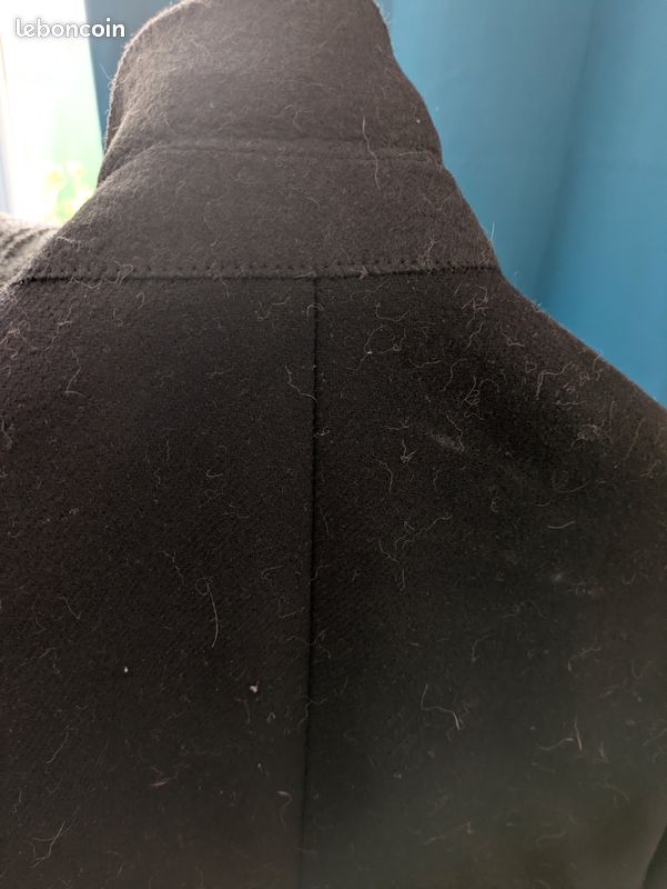 Manteau Massimo Duti (image 6)