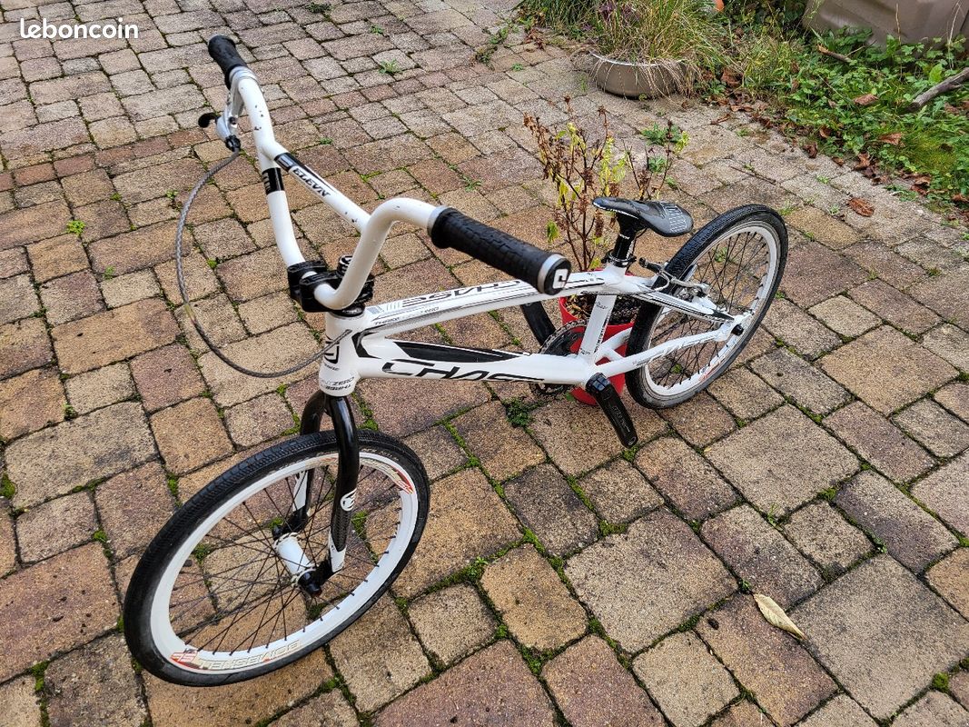 Chase Bicycles Chase Bmx Frame Chase Rsp Junior Xl Expert Bmx Race