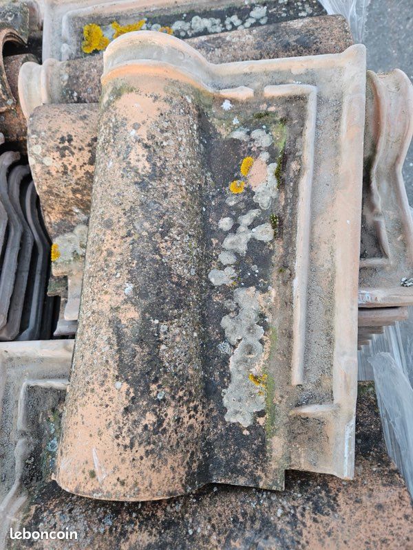 Tuile Romane TMM (image 1)