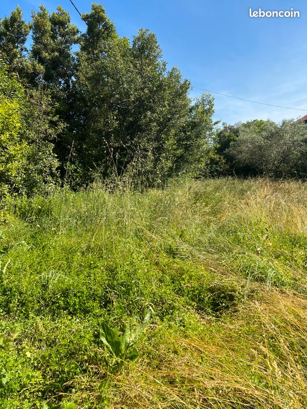 Terrain 500 m2 constructible (image 1)
