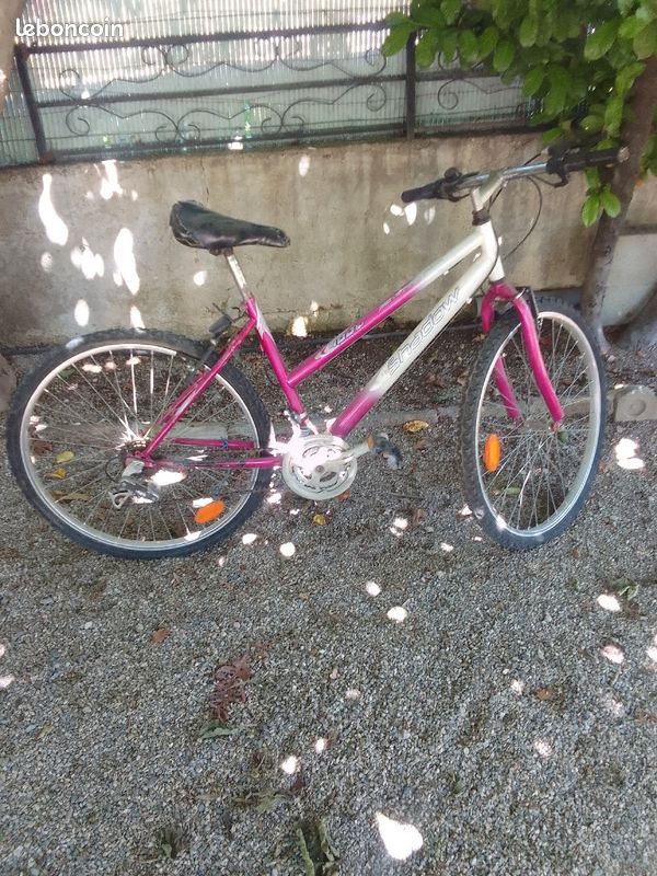 Vélo de loisirs (image 1)