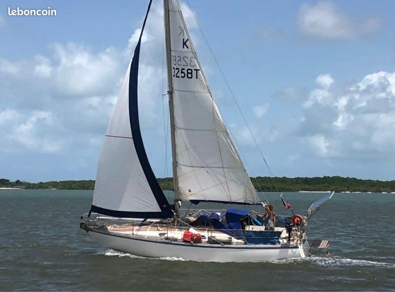 Dolphin 31 — Vedi foto 1