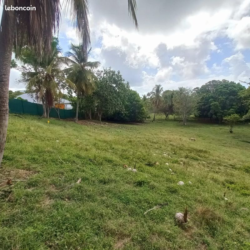 Terrain 968 m² · au Gosier · 205 000 €
