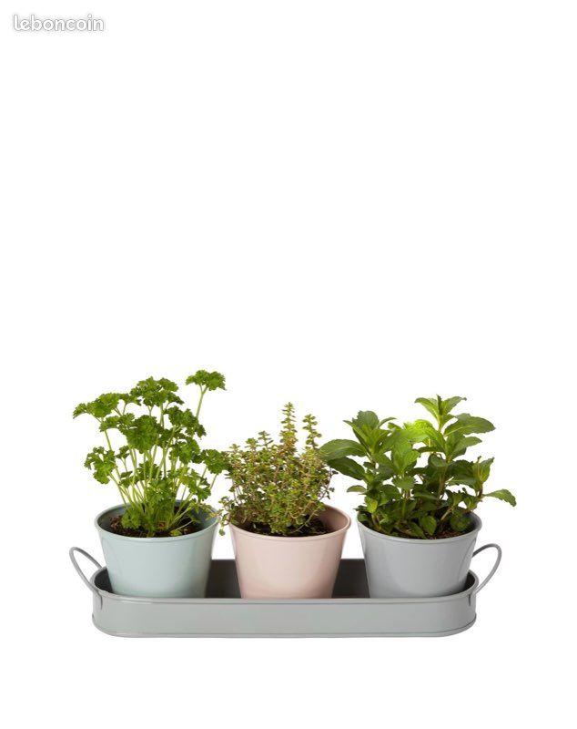 Joli trio de pots pastels en métal pour succulentes (image 9)