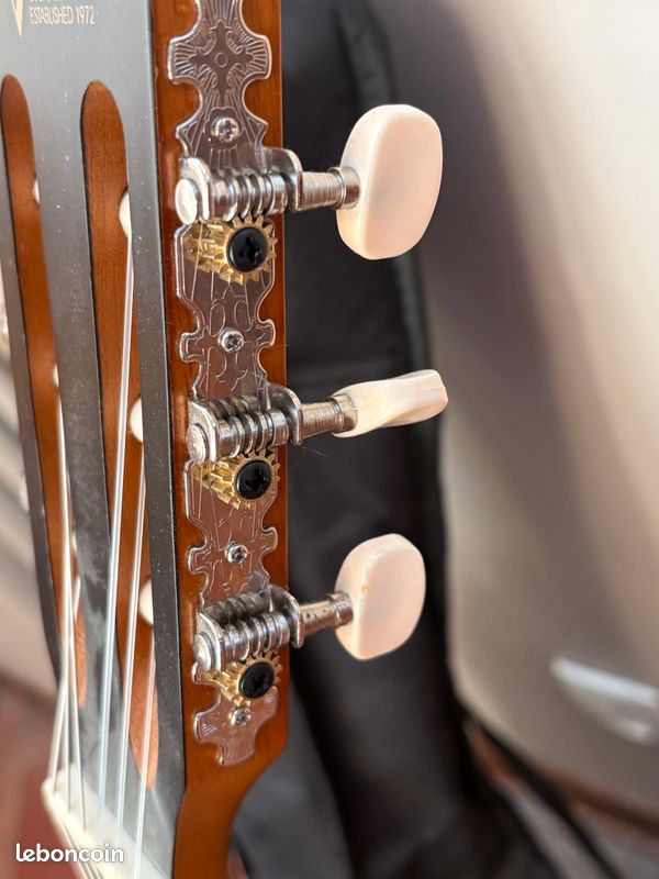 Guitare Valencia et ses accessoires (image 2)