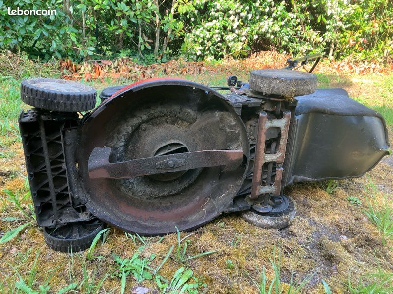 Tondeuse à gazon Briggs & Stratton (image 3)