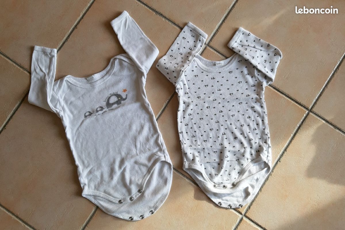 Bodies (image 1)