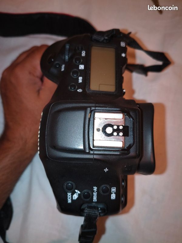 Canon 1 DX Mark 2 (image 5)