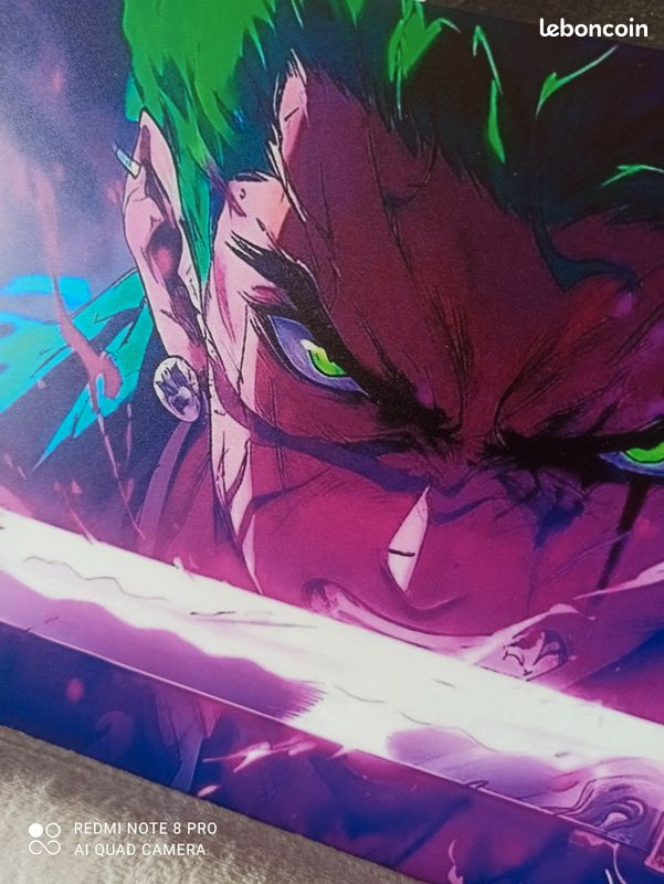 Plaque du manga : one piece (image 2)