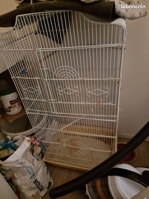 Cage oiseaux (image 2)