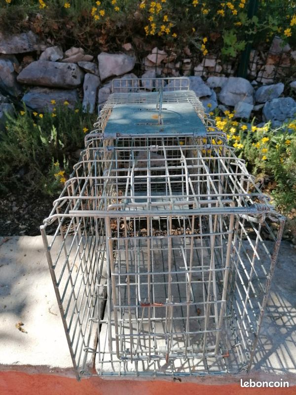Cage de piégeage 65 cm (Capture vivante) (image 1)