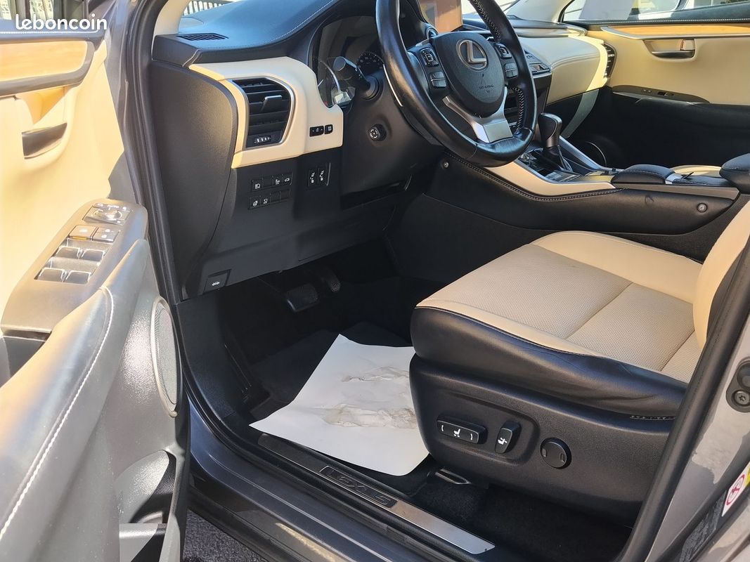 Lexus NX 300H 4WD LUXE (image 11)